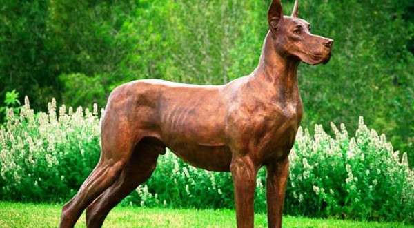 Khám Phá Những Giống Chó Nguy Hiểm Nhất Thế Giới