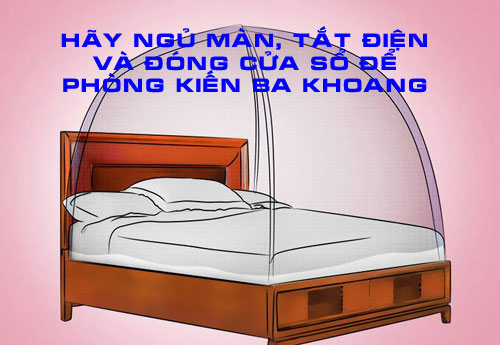 Ngủ màn, tắt đèn, đóng cửa sổ giúp hạn chế kiến ba khoang