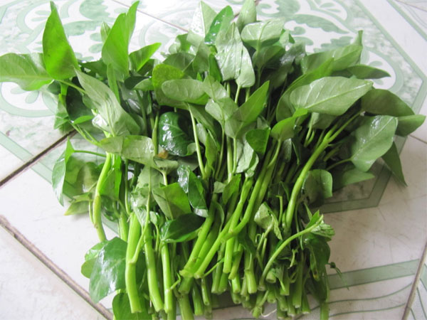 Lưu ý khi chế biến và tiêu thụ rau muống Không nên ăn sống rau muống