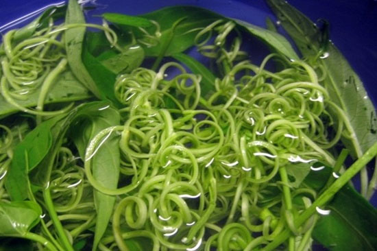 Nguy cơ sức khỏe từ việc ăn rau muống kém chất lượng Ăn rau muống: Những điều cần hết sức lưu ý