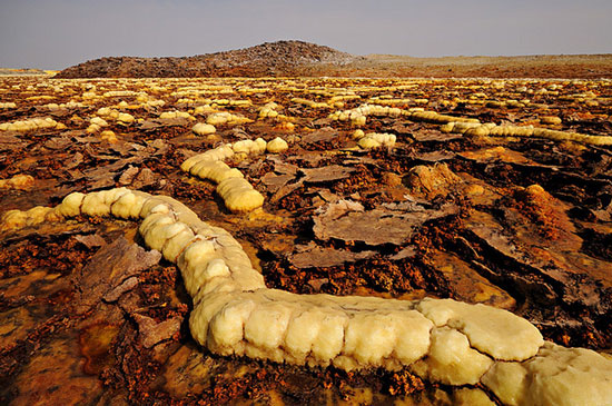 dallol7 Dallol, nơi không có sự sống