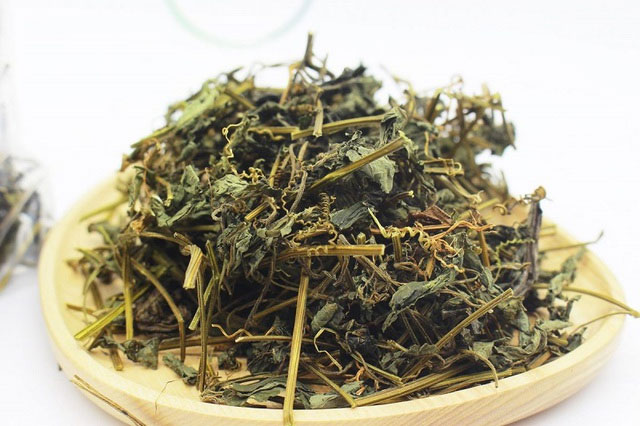 Giảo cổ lam – sự lựa chọn cho sức khỏe