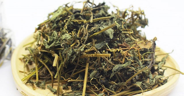 Khám Phá Tác Dụng Đáng Kinh Ngạc Của Giảo Cổ Lam Đối Với Sức Khỏe