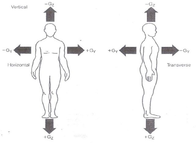 he-thong-tuan-hoan Hệ tuần hoàn và lực G