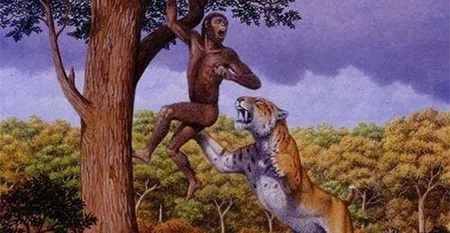 Những Loài Động Vật Không Có Kẻ Thù Tự Nhiên: Khám Phá Thế Giới Động Vật