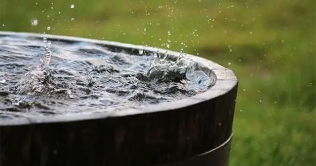 Nguy Cơ Từ Nước Mưa: Hóa Chất Gây Ung Thư Đáng Lo Ngại