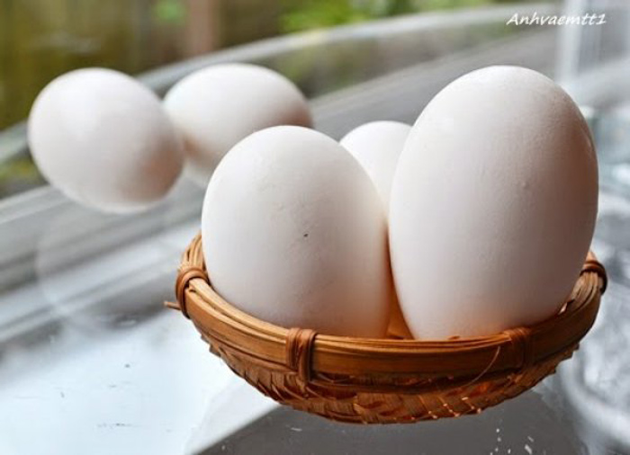Trứng ngỗng có hàm lượng vitamin thấp hơn trứng gà