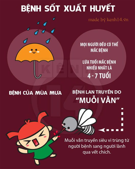 Hãy chủ động phòng ngừa sốt xuất huyết