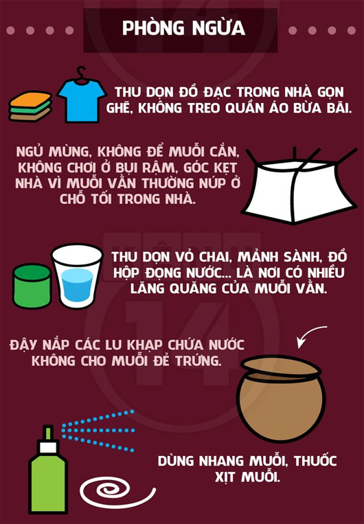 Hãy chủ động phòng ngừa sốt xuất huyết