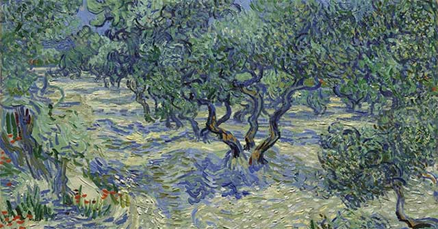 Phát hiện nhỏ trên ‘Những cây ô-liu’: xác châu chấu hé lộ đời sống sáng tác của Van Gogh