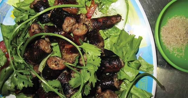 Thịt trăn: Giải pháp protein tiết kiệm tài nguyên trong bối cảnh biến đổi khí hậu