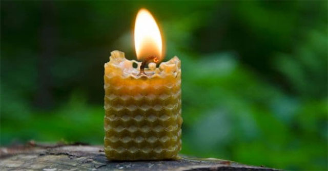 9 Giải Pháp Tự Nhiên Để Làm Sạch Không Khí Trong Ngôi Nhà Của Bạn